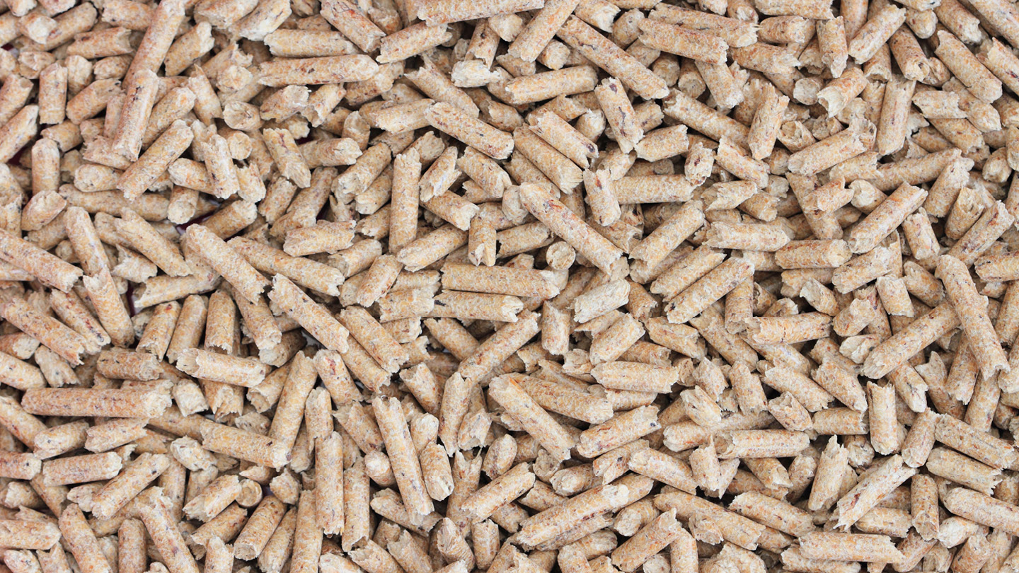 Come scegliere il pellet